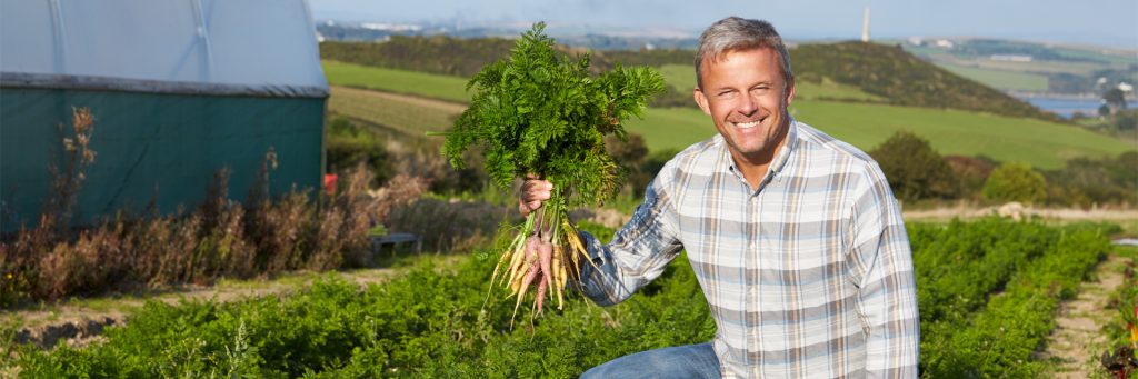 Freshcare FSQ5: What You Need to Know